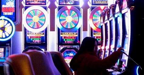 Gambling monkeys may provide clues to why humans .